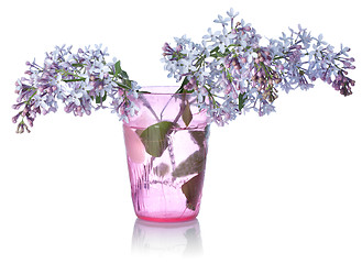 Image showing Lilacs in a glass