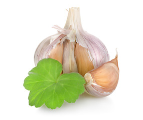 Image showing Raw garlic