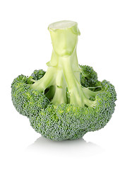 Image showing Broccoli isolated