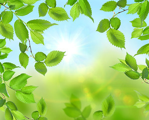 Image showing Beautiful soft green background