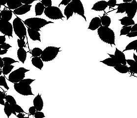 Image showing Black white leaves