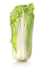 Image showing Chinese cabbage