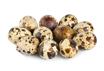 Image showing Quail eggs