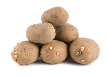 Image showing Old potatoes