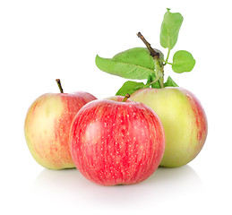 Image showing Three ripe apples isolated