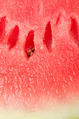 Image showing Watermelon background