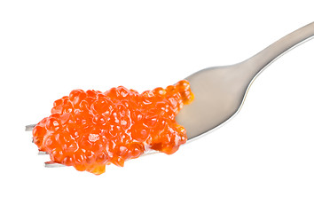 Image showing Red caviar on a fork