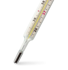 Image showing Medical thermometer