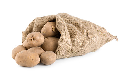 Image showing Raw potatoes isolated