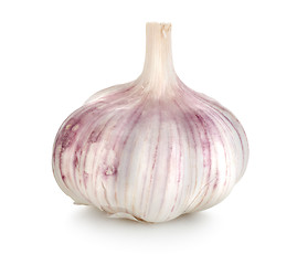 Image showing Garlic