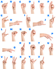 Image showing Hand sign language alphabet