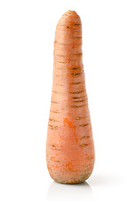 Image showing Fresh carrot isolated