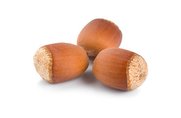 Image showing Three ripe hazelnuts