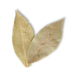 Image showing Two bay leaves