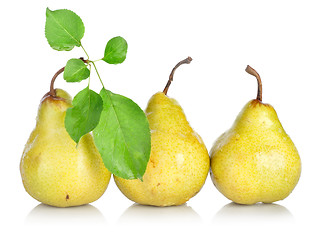 Image showing Yellow pears with green leafs