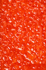 Image showing Salmon caviar