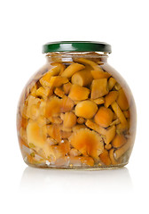 Image showing Canned mushrooms