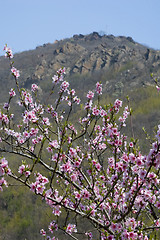 Image showing Mount Huaguo