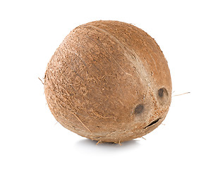 Image showing Ripe coconut isolated