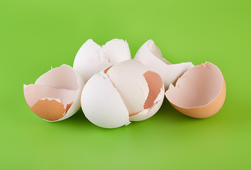 Image showing Group pieces of egg shell