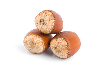 Image showing Three hazelnuts