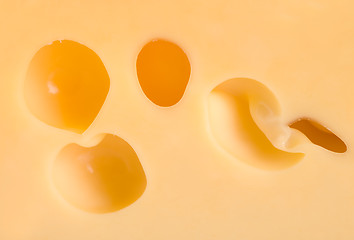 Image showing Cheese background