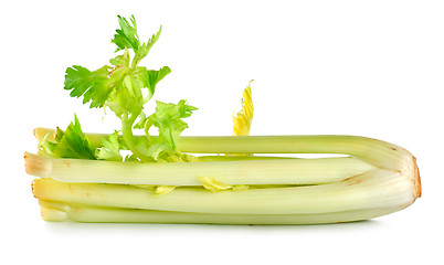 Image showing Celery