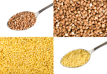 Image showing Buckwheat and millet