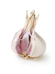 Image showing Garlic isolated on a white