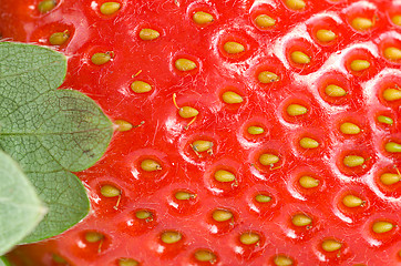 Image showing Green leaf and juicy strawberry