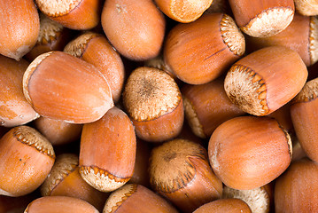 Image showing Background nuts