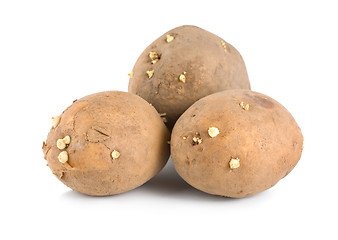 Image showing Three raw potatoes