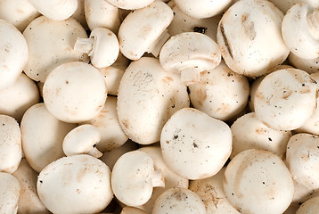 Image showing Background from the raw mushrooms