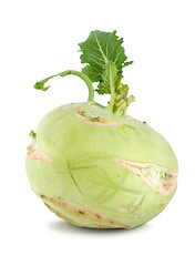 Image showing Kohlrabi isolated