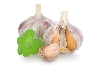 Image showing Raw garlic isolated 