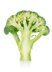 Image showing Ripe broccoli isolated
