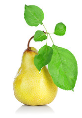 Image showing Pear with Leafs