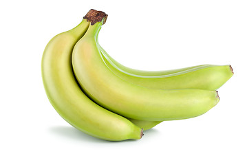 Image showing Green bananas