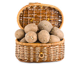 Image showing Raw potatoes in a basket