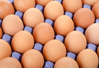 Image showing Tray of eggs in cardboard packing