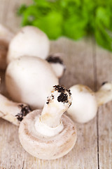 Image showing  fresh champignons with parsley 