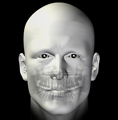 Image showing adult male dental scan