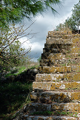 Image showing grassed staircase