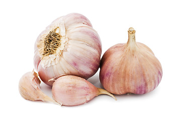 Image showing Garlic