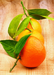 Image showing Tangerines