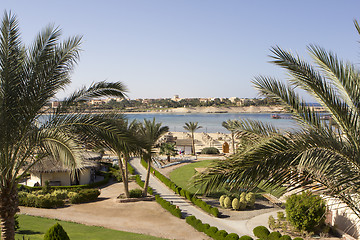 Image showing marsa alam in egypt