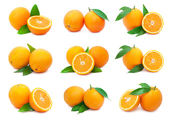 Image showing Oranges