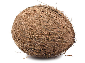 Image showing Coconut