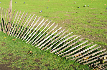 Image showing Green grass and fallen fence