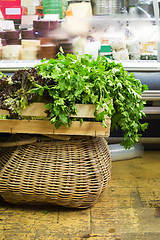 Image showing Bunch of parsley in a store